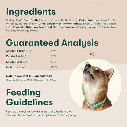 Jinx Oven-Baked Beef Bone Broth Mini Biscuit Dog Treats - Crunchy, All Natural, Superfood-Rich with Grass-Fed Beef, Dog Biscuits for Puppies, Adults & Seniors - 32oz