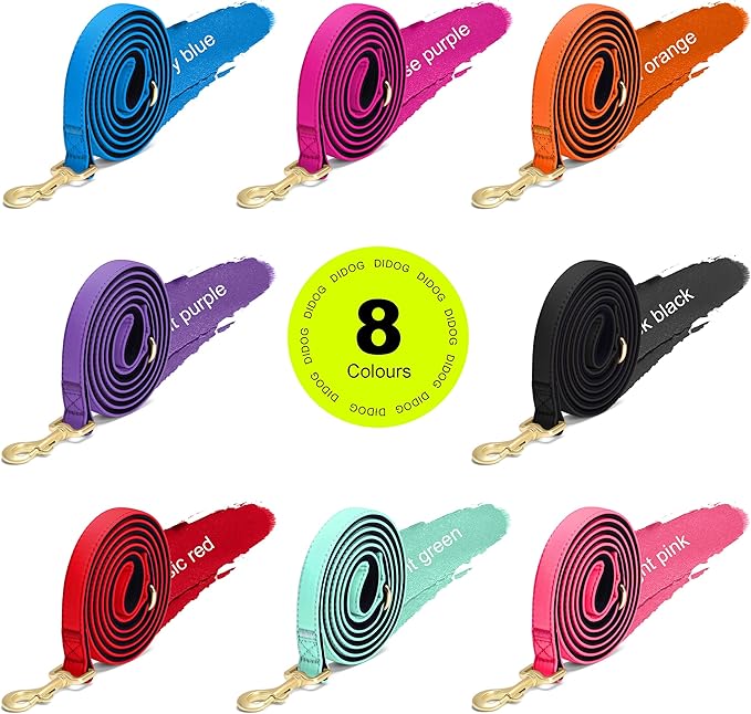 Didog Colorful Soft Padded Nylon Dog Collar & 5FT Dog Leash Set for Medium Dogs