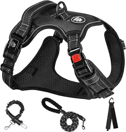 NESTROAD No Pull Dog Harness,Adjustable Oxford Dog Vest Harness with Leash,Reflective No-Choke Pet Harness with Easy Control Soft Handle for Small Dogs(X-Small,Black)