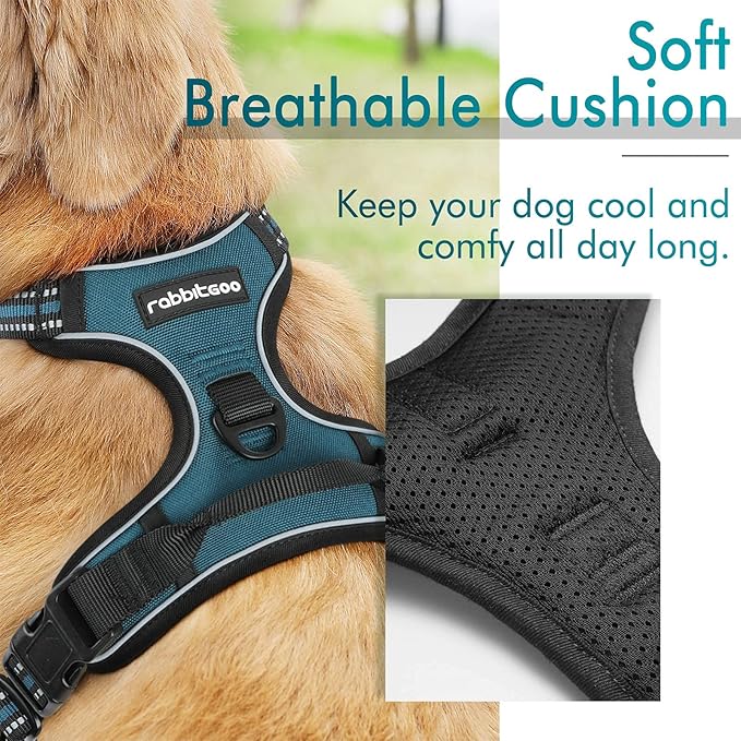 rabbitgoo Dog Harness No Pull with 2 Leash Clips, Adjustable Soft Padded, Reflective Oxford No Choke Pet Vest with Easy Control Handle for Small Dogs, Blue Coral, S