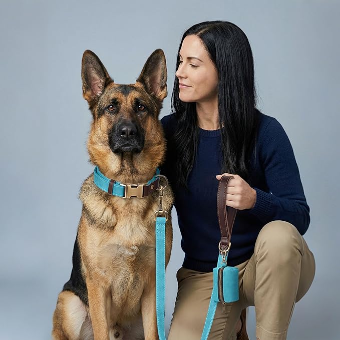 Didog Soft PU Leather Dog Collar for Large Dogs,Classic Adjustable Wide Dog Collars with Quick Release Metal Buckle,Easy Clean and Comfortable with Nylon Lining,Light Blue,XL Neck 20-27", Width 1¼"