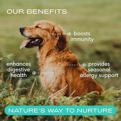 Native Pet Colostrum for Dogs - Bovine Colostrum Powder - Dog Allergy Relief, Itchy Skin Relief, Immune Support & Gut Health - 100% Single-Ingredient Supplement with Bioactive Nutrients - 120 Scoops