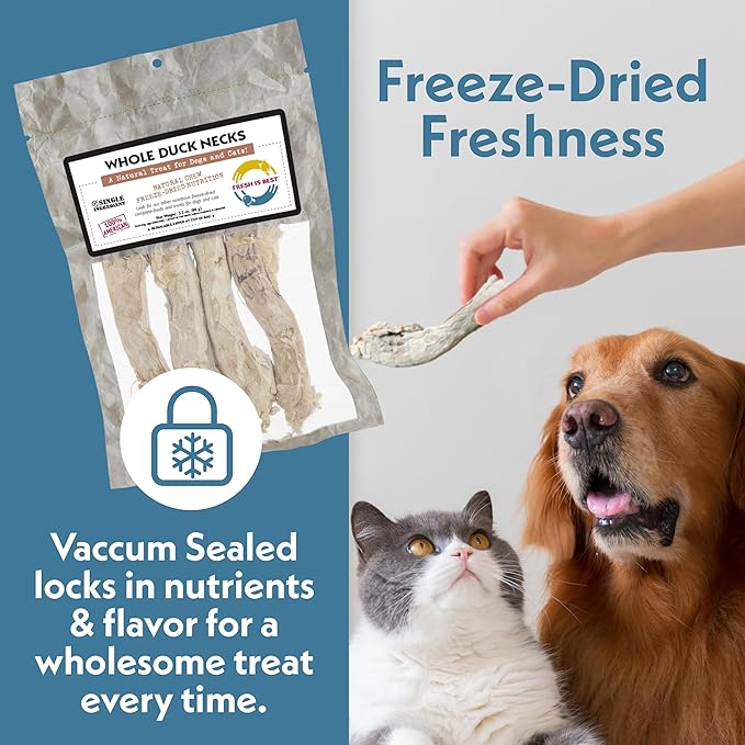Fresh Is Best Duck Necks Freeze Dried Dog Treats – Raw Freeze Dried Cat Treats in Resealable Zipper Bag – High-Protein for Dogs & Cats – Made in The USA