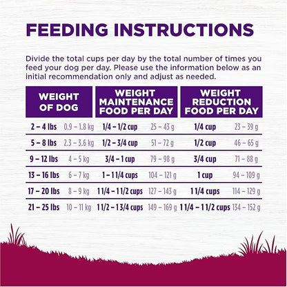 Wellness Complete Health Healthy Weight Small Breed Adult Dry Dog Food, Wholesome Grain Kibble, Natural, Turkey and Brown Rice Recipe, 4 lb Bag