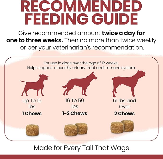 Dog UTI Treatment Cranberry Supplement for Dogs, 120 Soft Chews - Natural Urinary Tract Infection Support and Healthy Bladder Control – Made with Echinacea and Vitamin C