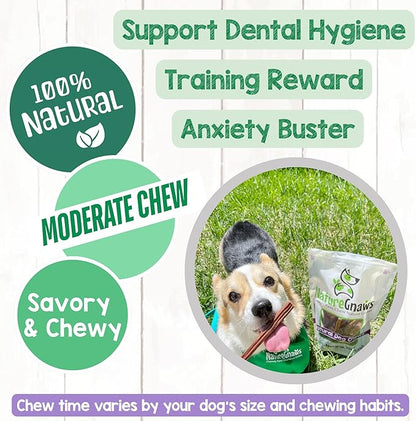 Nature Gnaws Super Skinny Bully Sticks for Small Dogs 5-6" (15 Count) - Long Lasting for Light Chewers and Puppies - Extra Thin Natural Beef Dog Chew Treats