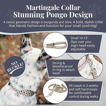 Lucky Love Dog Martingale Dog Collar - Adjustable, No-Slip, Durable, & Soft Webbing Collar for Male and Female Dogs Ideal for Training & Walking - in Unique Pongo Pattern, Small