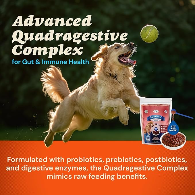 CLEAR CONSCIENCE PET® Barkinara™ SuperGravy® Natural Dog Food Gravy Topper, Hydration Broth Mix, Gluten and Grain Free Kibble Seasoning Powder Topper for Picky Eaters (13.5 oz. (90 Scoop))