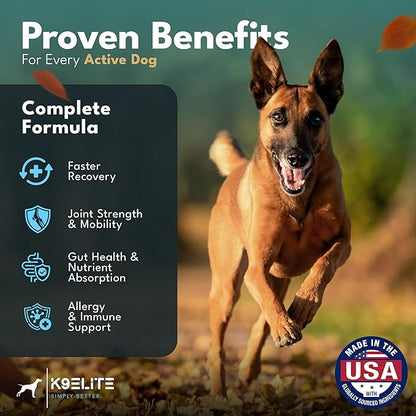 Dog Allergy Relief Chews for Itching Skin – Anti Itch, Gut Health & Immune Support with Colostrum & Omega 3 – Skin & Coat Supplement for Dogs