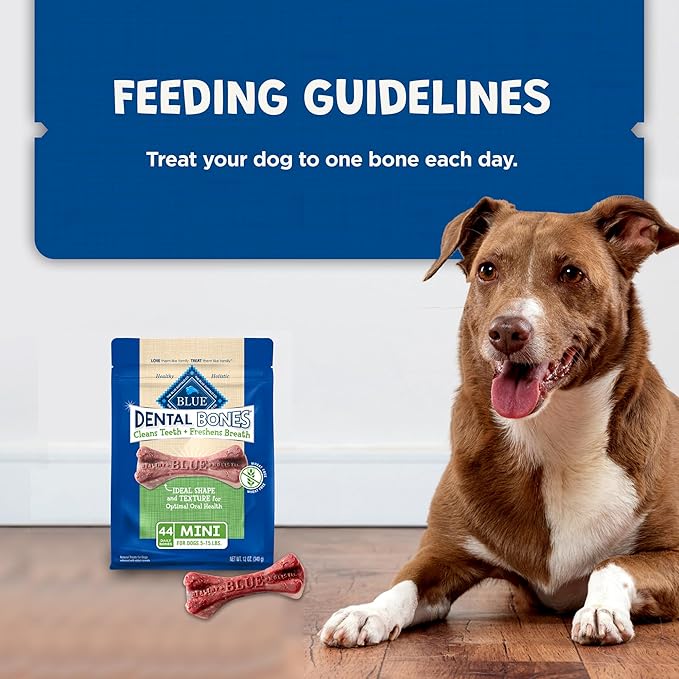 Blue Buffalo Dental Bones Mini Natural Dental Chew Dog Treats Bag,12oz. Bag,(Pack of 2)