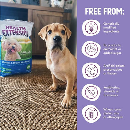 Health Extension Little Bites Dry Dog Food for Toy and Small Breeds, Chicken & Brown Rice Recipe, with Probiotics & Superfoods for Digestion & Coat Health, 4 lb Bag