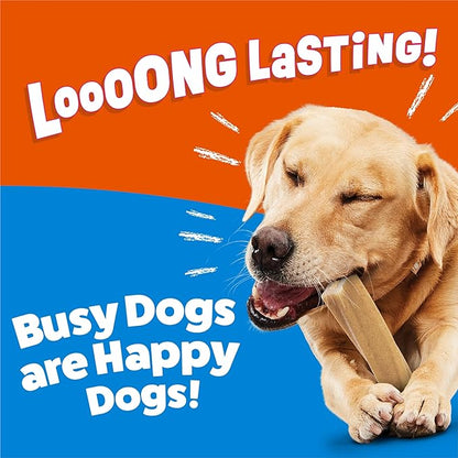 Purina Busy Bone Adult Dog Chew Bone Treats, Peanut Butter - 10 ct. Pouch