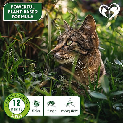 Natural Flea & Tick Collar for Cats - 12 Months Control of Best Prevention & Safe Treatment - Anti Fleas and Ticks Essential Oil Repellent (1 Count)