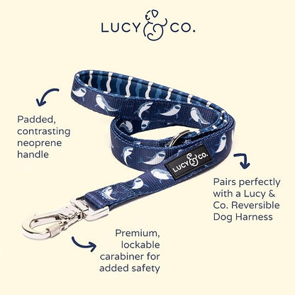 Lucy & Co. 5 Foot Designer Dog Leash - Best for Big, Small, or Medium Dogs - Puppy Leash - Shark Attack Pattern