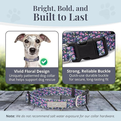Lucky Love Dog, Comfortable, Soft, Cute Female Dog Collar for Medium Dogs, Black & Purple Floral Print, Adjustable Nylon Collar, Primrose, Medium