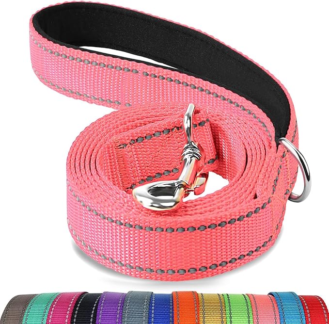 Joytale Dog Leash, 4 FT Double-Sided Reflective, Padded Handle Nylon Heavy Duty Leashes for Small Dogs Walking, Neon Pink