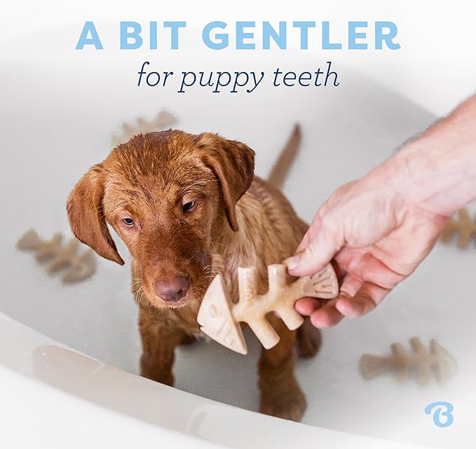 Benebone Puppy 4-Pack Dog Chew Toys, Made in USA, 30lbs and Under, for Modest Chewers
