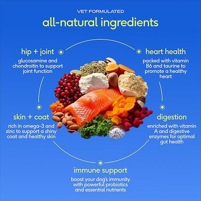 Native Pet The Daily Dog Vitamins & Supplements - 11-in-1 Multivitamin Powder for Dogs - Supports Whole Body Health, Digestion, Mobility & Immunity with Collagen, Glucosamine & Probiotics – 90 Scoops