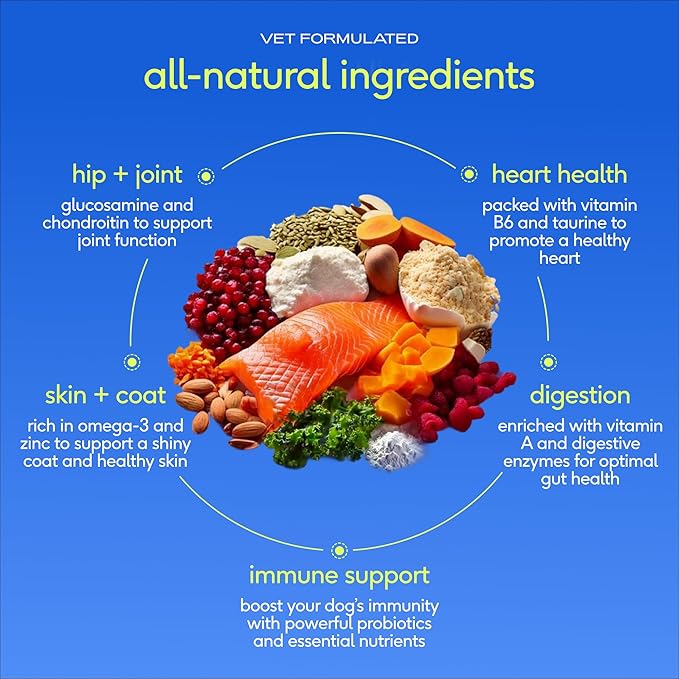 Native Pet The Daily Dog Vitamins & Supplements - 11-in-1 Multivitamin Powder for Dogs - Supports Whole Body Health, Digestion, Mobility & Immunity with Collagen, Glucosamine & Probiotics – 30 Scoops