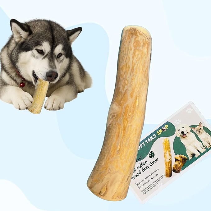 Set of 1 Coffee Wood Dog Chew Stick Toy for Dog, Natural and Real Wooden Bone Sticks for Pets, Safe Dental Cleaning Chews, Pets Health, Teeth Cleaning and Relieve Stress (Large)