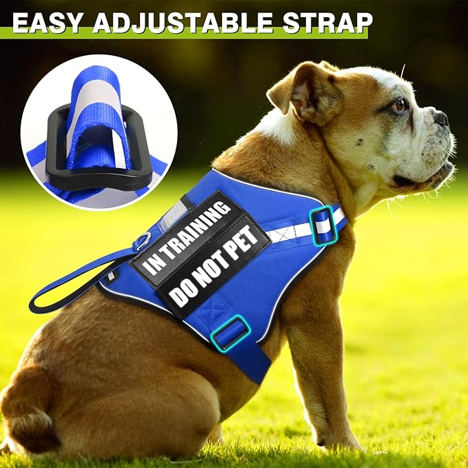 Service Dog Harness and Leash Set, Training Dog Vest with 10 Dog Patches, Emotional Support Therapy Dog Vest Harness for Small Medium Large and Extra Large Dogs(Blue, L)