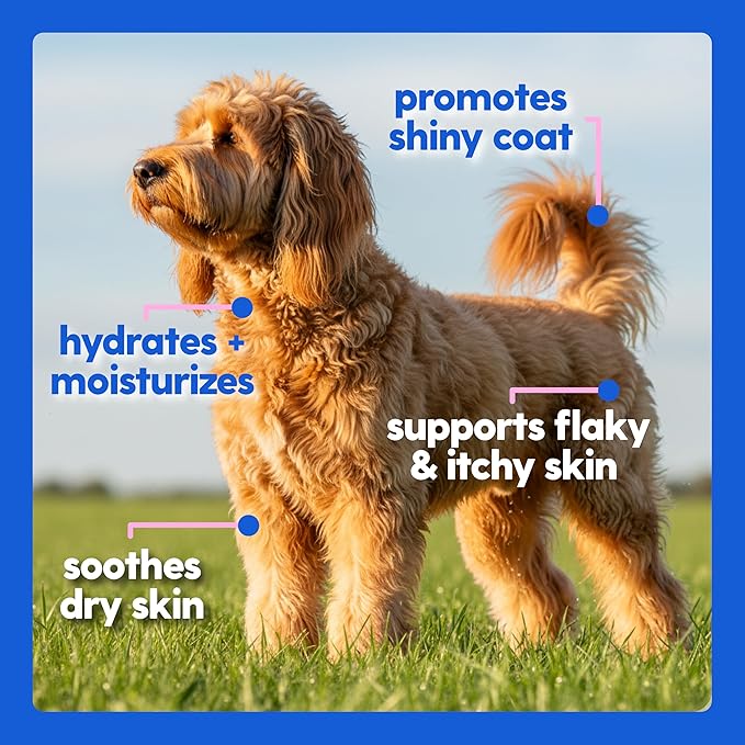 Taily Liquid Collagen for Dogs Skin and Coat Supplement, Cats | Taily Liquid Premium Grass-fed Collagen | Itch Relief for Dogs with Allergies, Biotin, Vitamin C and Hyaluronic Acid | Made in USA