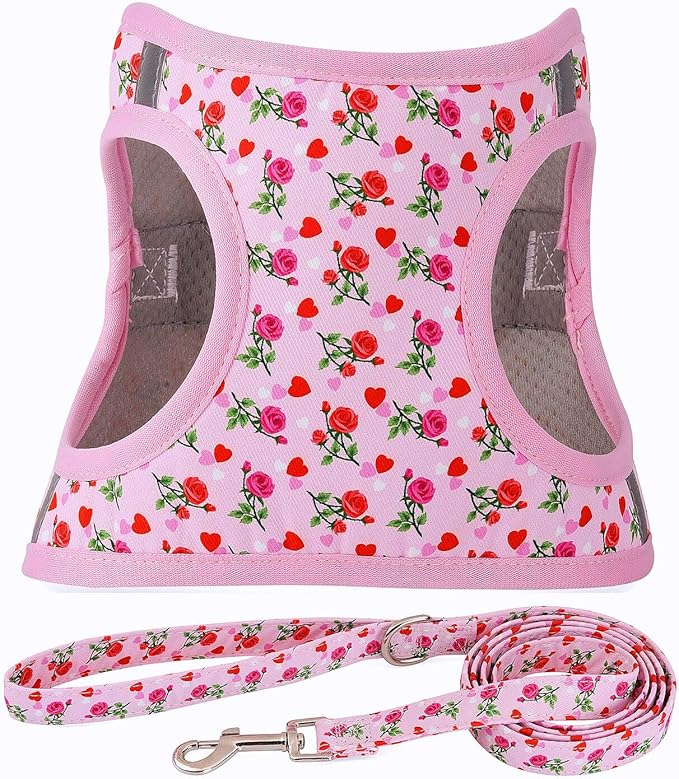 Moonpet Step in Valentine's Day Dog Harness Leash Set- All Weather Reflective No-Pull Floral Pattern Padded Mesh Vest Harness for Cats Puppy Extra-Small Small Medium Large Dogs - Heart Rose - S