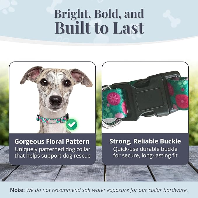 Lucky Love Dog - Adjustable Dog Collar with Easy Click Buckle for Medium Dogs, Durable, & Comfortable for Male & Female Dogs, Pet Collar for Puppies & Adult Ones - Penny, Medium