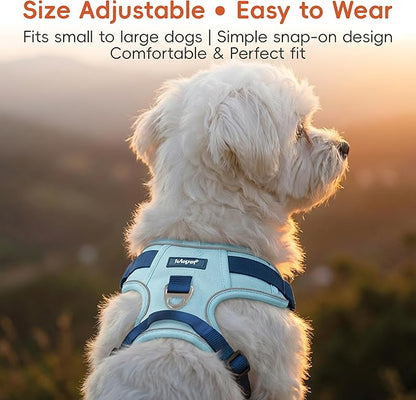 3 in 1 No Pull Dog Harness Leash and Collar Set, Soft Adjustable Dogs Vest Reflective and Comfortable Handle Blue X-Large