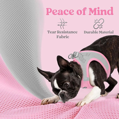 rabbitgoo Small Dog Harness, Step-in Soft Mesh Puppy Vest with Safety Buckle, Breathable Reflective Pet Harness for Small Medium Dogs, Pink & Gray L
