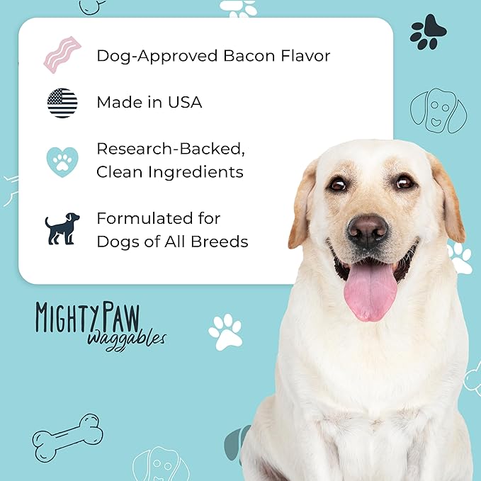 Mighty Paw Dog Allergy Chews — Anti-Itch & Immune Support, 120ct | Omega 3, Quercetin & Turmeric | Vet Formulated | Made in USA | Skin & Coat Supplement for Dogs