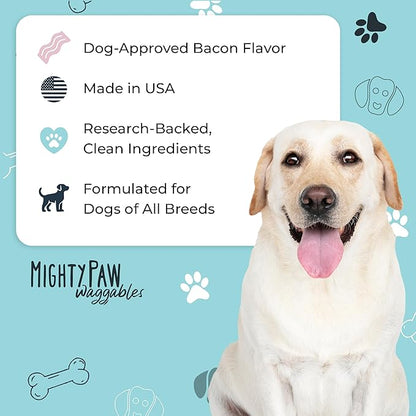 Mighty Paw Dog Allergy Chews — Anti-Itch & Immune Support, 120ct | Omega 3, Quercetin & Turmeric | Vet Formulated | Made in USA | Skin & Coat Supplement for Dogs