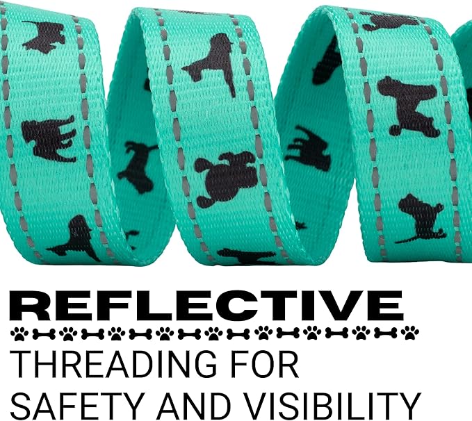EcoBark Dog Leash - Soft & Reflective Comfort Leashes with Padded Handle - Strong Durable Heavy Duty - Training and Pulling for Small, Medium or Large Dogs (Turquoise)
