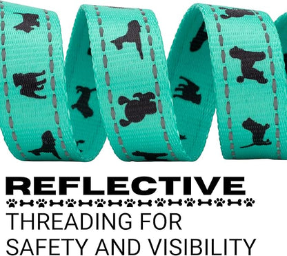 EcoBark Dog Leash - Soft & Reflective Comfort Leashes with Padded Handle - Strong Durable Heavy Duty - Training and Pulling for Small, Medium or Large Dogs (Turquoise)
