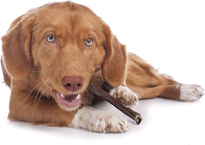 Cadet 100% Beef Strips Dog Chew Sticks, Long-Lasting Single-Ingredient Natural Treats, High-Protein, Perfect for Small & Large Breeds, 12 oz