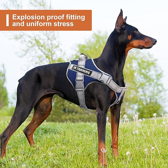 Moonpet Upgraded Personalized Custom No Pull Tactical Dog Harness Leash Set with Name and Phone Number, Heavy Duty Pet Dog Vest Harness for Training and Walking (XS-XXL, 9 Colorful)