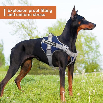 Moonpet Upgraded Personalized Custom No Pull Tactical Dog Harness Leash Set with Name and Phone Number, Heavy Duty Pet Dog Vest Harness for Training and Walking (XS-XXL, 9 Colorful)