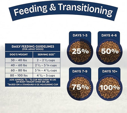 Natural Balance Health Protection Large Breed Dry Dog Food – Whole Body Health, Easy on Digestion Dog Food Made with Salmon, Brown Rice & Pumpkin for Dogs - 26lbs