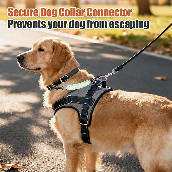 Dog Collar Safety Clip with Dual Clasps,Handmade Backup Safety Strap for Dog Harness, Collars and No Pull Harness Connectors (Light Yellow & Sky Blue)