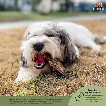 Redbarn Lamb Lung Filets - Oven Roasted Jerky-Style Dog Treats, Flavorful, Tasty & Highly Palatable Chews, Single Ingredient Protein – 10 oz, Case of 10 Bags