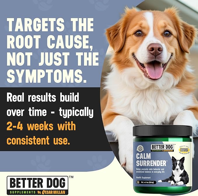 Better Dog Supplements Calm Surrender by Cesar Millan – Natural Dog Calming Powder for Stress, Anxiety, Grooming, Travel & Thunderstorms – Catnip, Chamomile & Valerian – 4oz, (60-Day Supply)