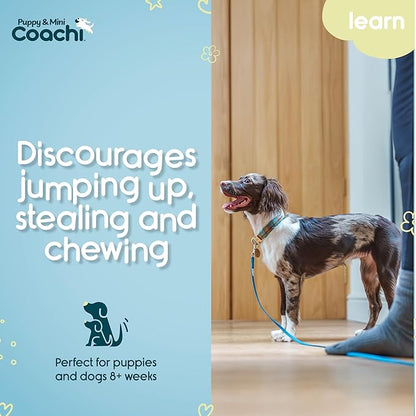 Coachi Puppy & Mini Training Line 2.5m - Toilet Training, Jumping Up, Running Off, Place Avoidance, Chewing, House Manners, Lightweight Indoor House Lead. Suitable for Puppies & Newly Acquired Dogs