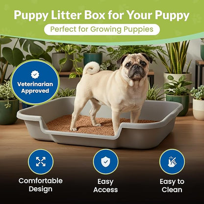 Puppy Pan Indoor Litter Box Training Starter Kit, Misty Gray Large Pan with Natural Pine Litter, Extra Long Litter Scoop and Training Guide