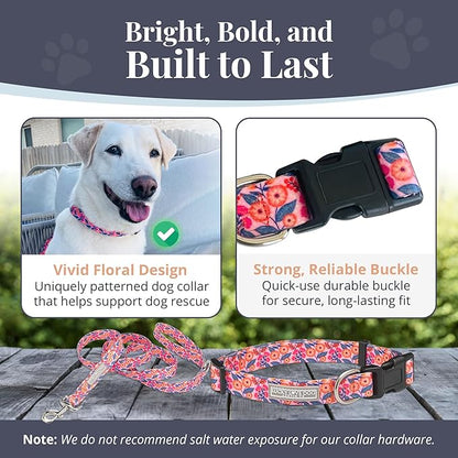 Lucky Love Dog - Easy Click Buckle Dog Collar with Leash Set Combo, Durable & Comfortable for Male & Female Dogs, Pet Collar for Large Dogs, Secure Fit - Floral Rosie Combo, Large