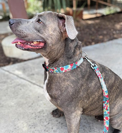 Lucky Love Dog - Adjustable Dog Collar with Easy Click Buckle for Large Ones, Durable, & Comfortable for Male & Female Dogs, Pet Collar for Puppies & Adult Dogs - Ginny, Large