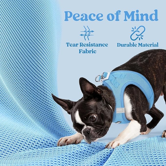 rabbitgoo Small Dog Harness, Step-in Soft Mesh Puppy Vest with Safety Buckle, Breathable Reflective Pet Harness for Large Dogs, Blue XXL