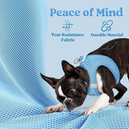 rabbitgoo Small Dog Harness, Step-in Soft Mesh Puppy Vest with Safety Buckle, Breathable Reflective Pet Harness for Small Sized Dogs, Blue XS