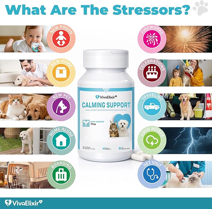 Dog Calming Capsule Calming Support Supplement for Small Dogs and Cats, Helps Promote Relaxation and Reduce External Stress Factors, Daily Behavioral Support and Anxiety Relief for Dogs and Cats, 75mg
