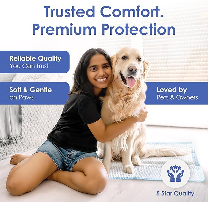American Kennel Club Scented Puppy Training Pads with Ultra Absorbent Quick Dry Gel – 28 x 30 Pee Pads for Dogs - Fresh Scented - 50 Count, XL (Pack of 2)