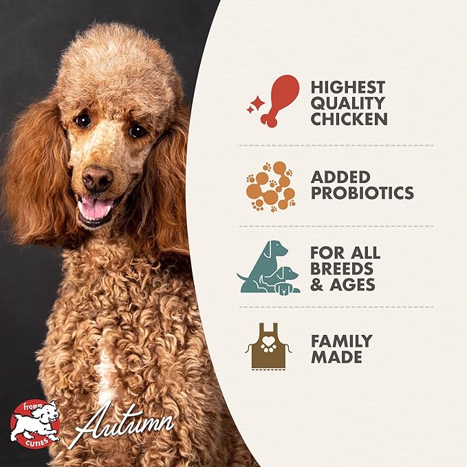 Fromm Four-Star Nutritionals Chicken au Frommage Dog Food - Premium Dry Dog Food - Chicken Recipe - 26 lb